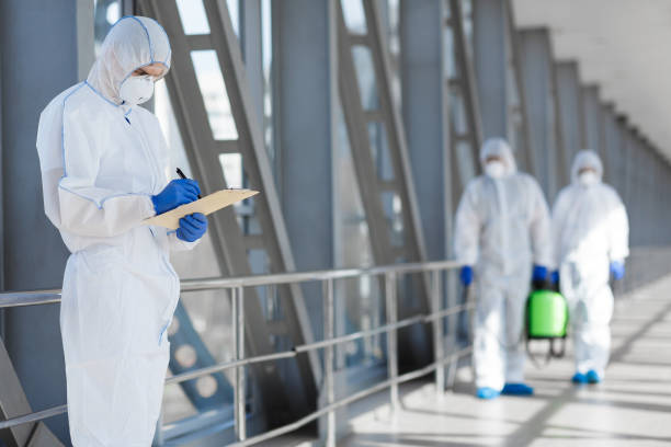 Best Mold Removal for HVAC Installations  in Lincoln, ID