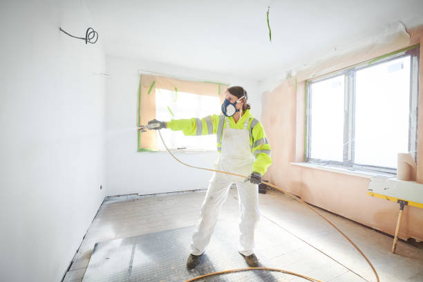 Lincoln, ID Mold Removal Company