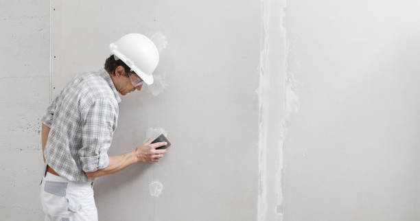 Trusted Lincoln, ID Mold Removal Experts